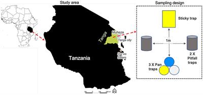 Climate-Smart Agriculture and Trade-Offs With Biodiversity and Crop Yield